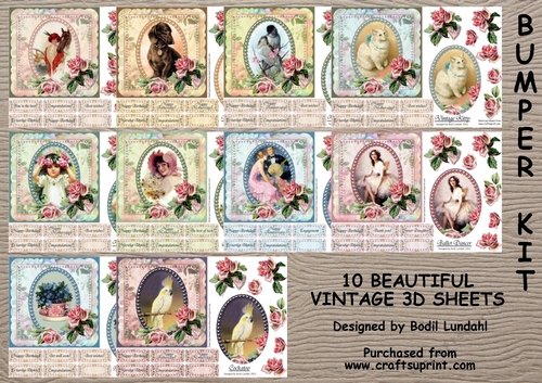 10 Beautiful Vintage 3D sheets - Bumper Kit