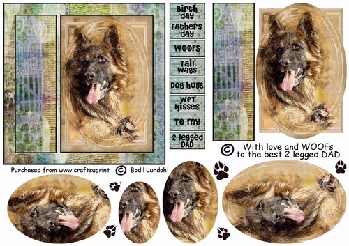 With love and WOOFs, German Shepard