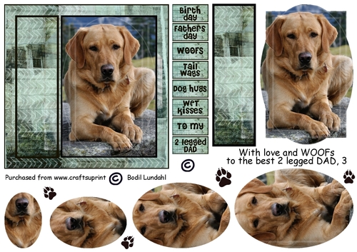 With love and WOOFs, Golden Retriever 