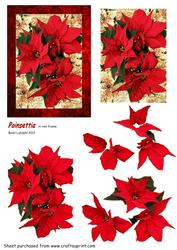 Poinsettia in Red Frame