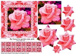 My Favourite Garden Rose, Pink