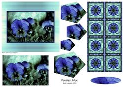 Pansies, Blue