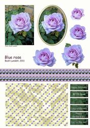 Blue Rose
