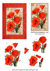 Californian Poppies, Red