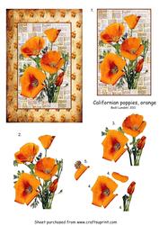 Californian Poppies, Orange