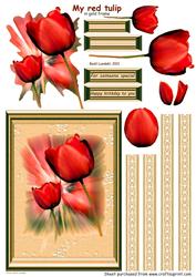 My Red Tulip, in Gold Frame
