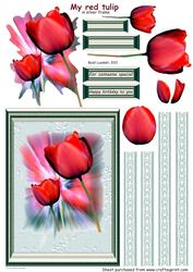 My Red Tulip, in Silver Frame