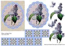 Blue Vintage Lilac