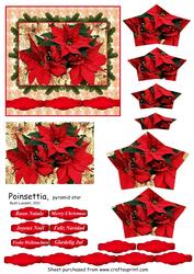 Poinsettia, Pyramid Star