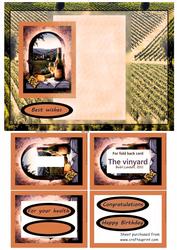 The Vinyard