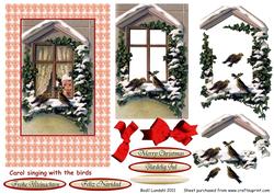 Carol Singing with the Birds