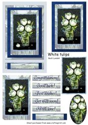 White Tulips