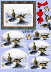 Robins Nest