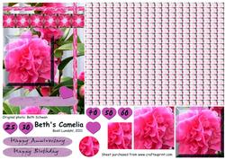 Beths Camelia