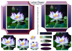 Lotus Flower