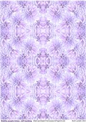 Dahlia Purple-icious, Soft Backing