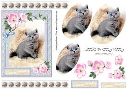 Little Pretty Kitty