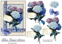 Blue Giant Asters