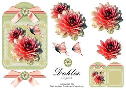 Dahlia on Green