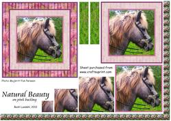 Natural Beauty on Pink Backing