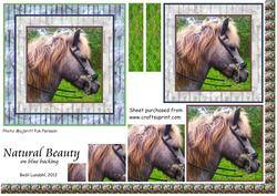 Natural Beauty on Blue Backing