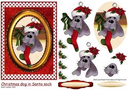 Christmas Dog in Santa Sock