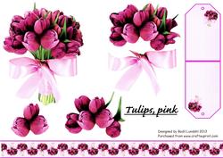 Tulips, Pink