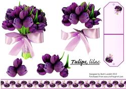 Tulips, Lilac