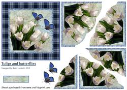 Tulips and Butterflies