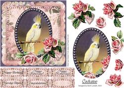 Cockatoo
