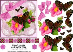 Beach Roses and Butterflies