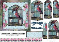 Chaffinches in a Vintage Cage