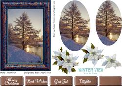 Winter View in an Old Frame