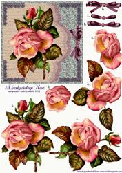 A Lovely Vintage Rose