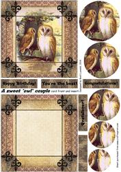 A Sweet owl couple