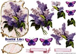 Beautiful Lilacs
