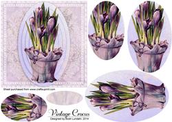 Vintage Crocus