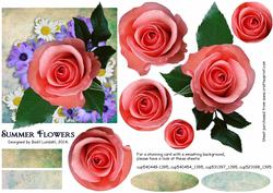 Summer Flowers