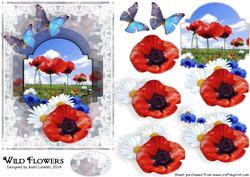 Wild Flowers