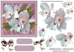 Fabulous Orchids