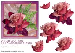 A Gorgeous Rose for a Gorgeous Person