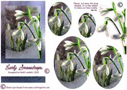 Early Snowdrops
