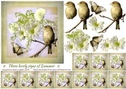 Three Lovely Signs of Summer