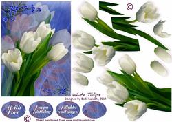 White Tulips