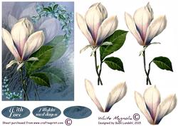 White Magnolia