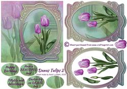 Danas Tulips 2