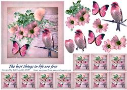 The Best Things in Life Are Free