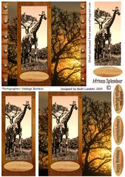 African Splendour