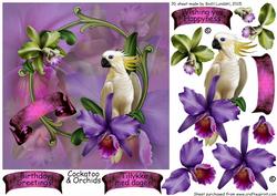 Cockatoo & Orchids
