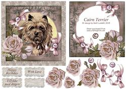Cairn Terrier